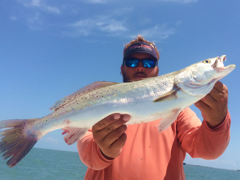 FISH ID? Galveston TX : r/saltwaterfishing