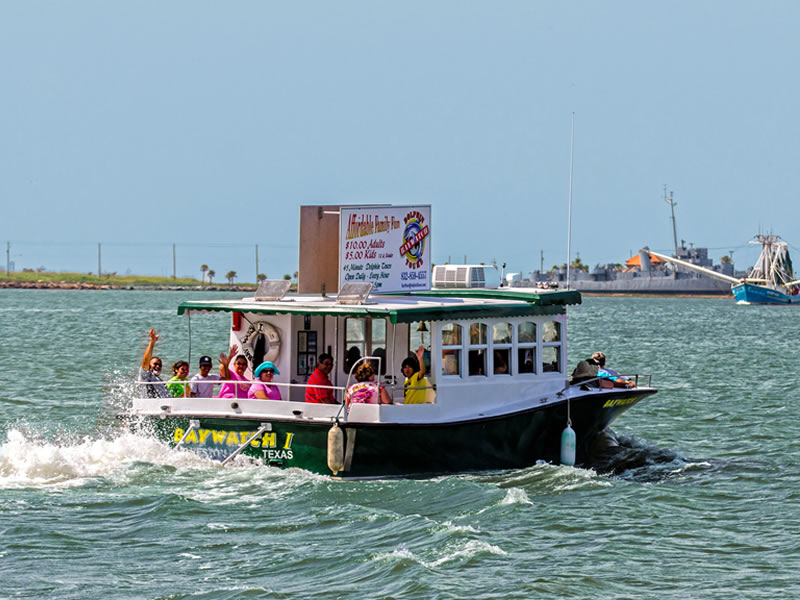 Baywatch Dolphin Tours Galveston