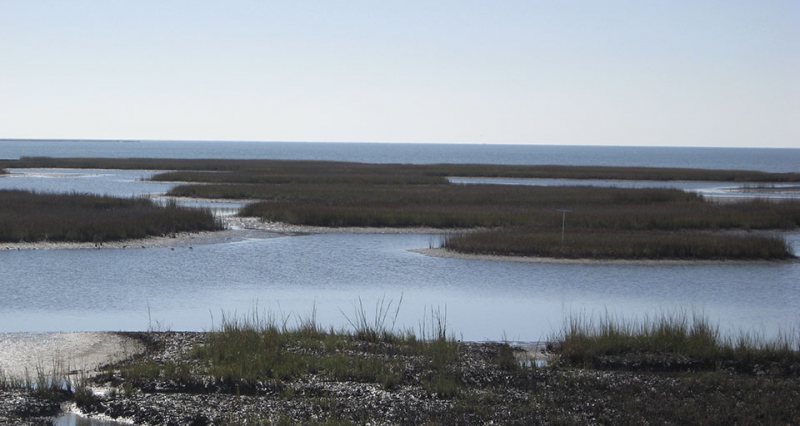 GALVESTON.COM: Like Beaches, Salt Marshes Need Restoration, Too ...