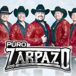 Puro Zarpazo