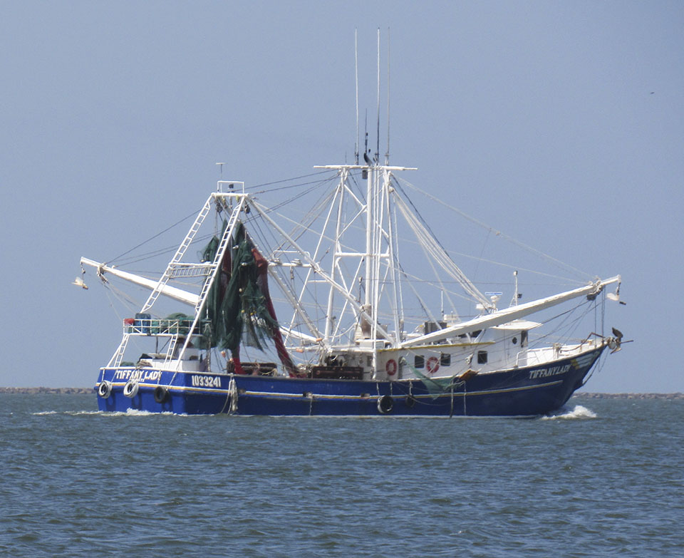 Shrimp Boat